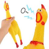 Thú chíp gà vàng kêu - Squeeking chicken