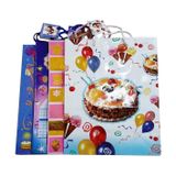 Túi giấy quà tặng size L