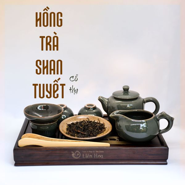  Hồng Trà Shan Tuyết Cổ Thụ 