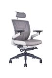  GHẾ ERGOCHAIR PLUS 