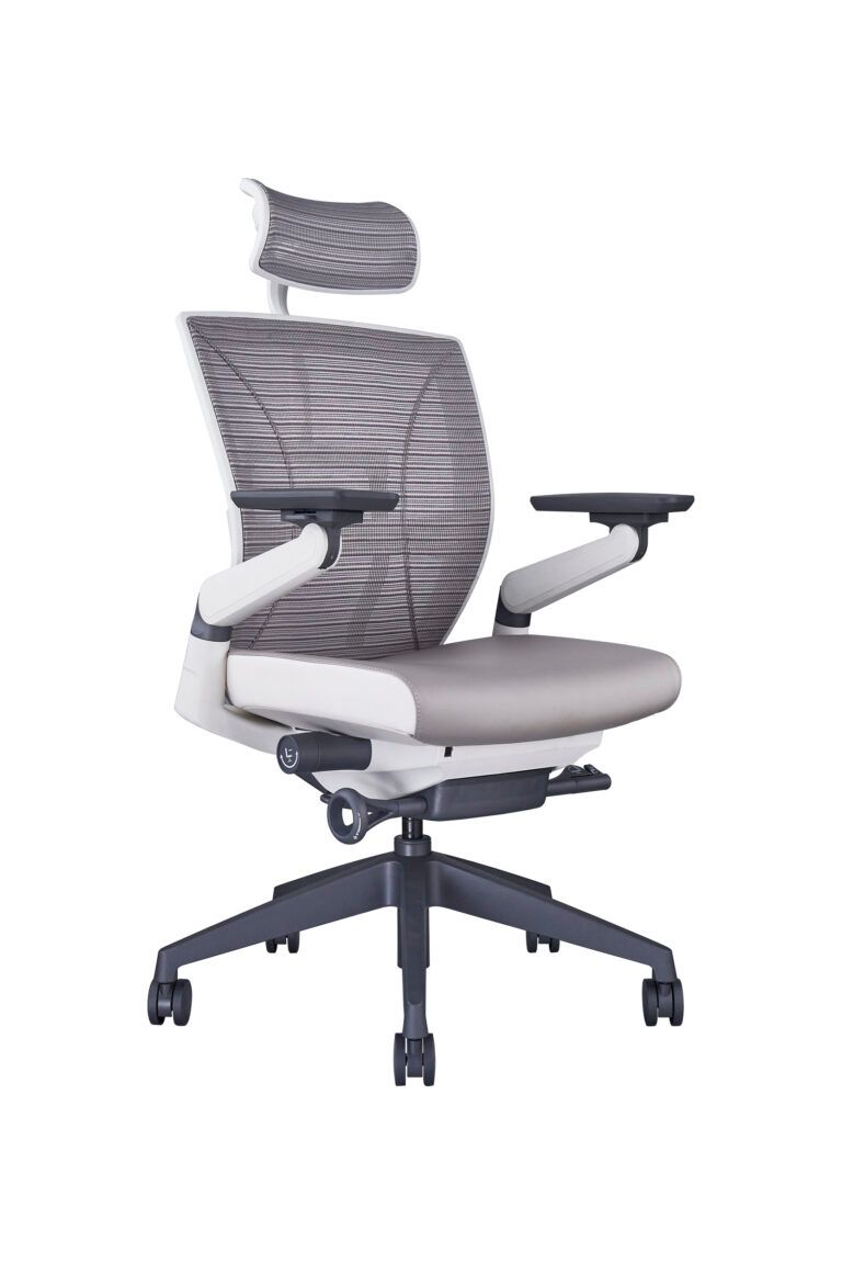  GHẾ ERGOCHAIR PLUS 