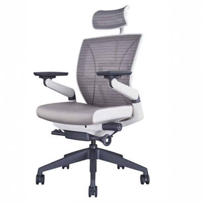  GHẾ ERGOCHAIR PLUS 