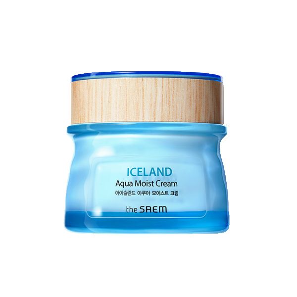 Kem Dưỡng Ẩm Cấp Nước Từ Nguồn Nước Khoáng Sông Băng The Saem Iceland Aqua Moist Cream 60ml