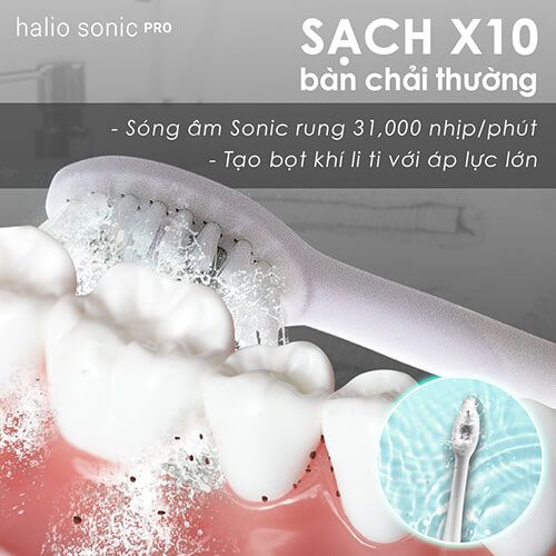 Set 2 Đầu Bàn Chải Điện Halio Sonic Whitening Electric Toothbrush Refill Head #PERIWINKLE - MÀU TÍM