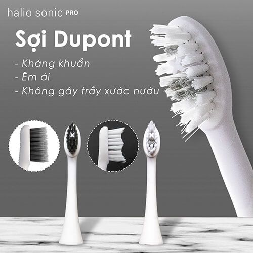 Set 2 Đầu Bàn Chải Điện Halio Sonic Whitening Electric Toothbrush Refill Head #PERIWINKLE - MÀU TÍM