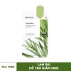 TEATREE - BẢN NÂNG CẤP