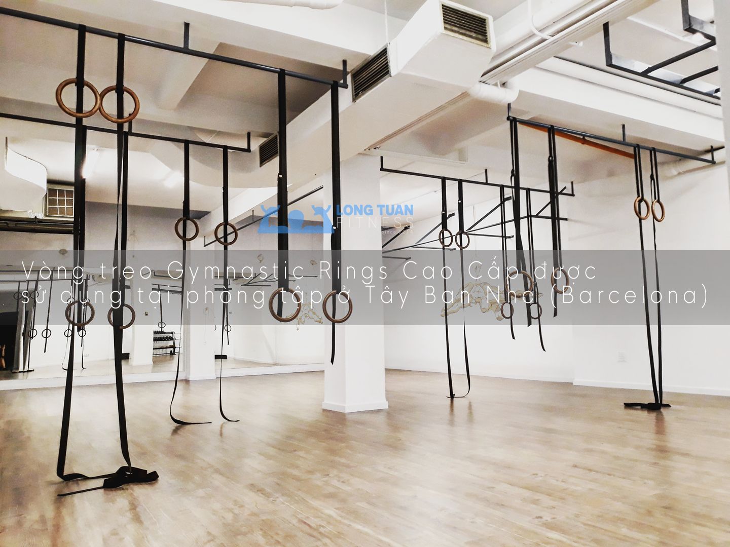 Vòng treo Gymnastic Rings Cao cấp