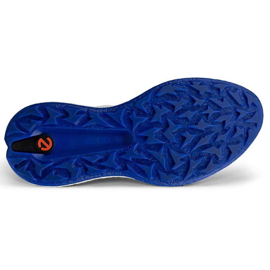 Giày golf nam ECCO M GOLF BIOM H5 13801461109 | ECCO