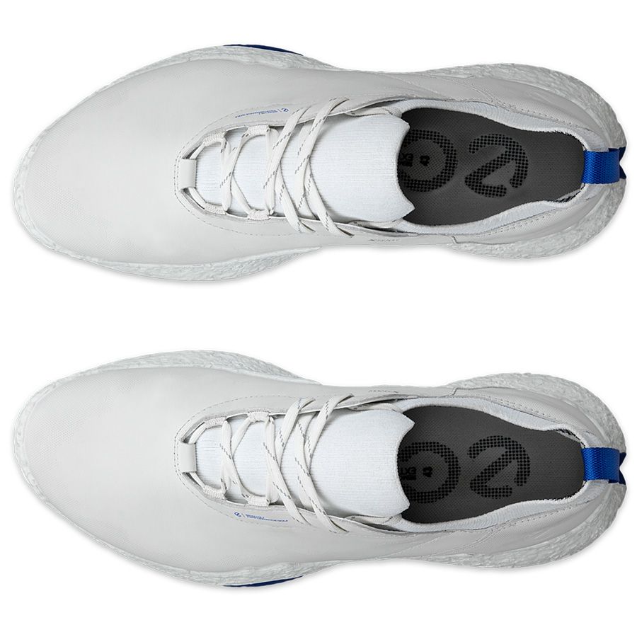 Giày golf nam ECCO M GOLF BIOM H5 13801461109 | ECCO