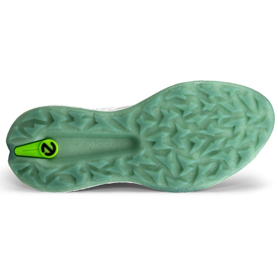 Giày golf nam ECCO M GOLF BIOM H5 13802401007 | ECCO