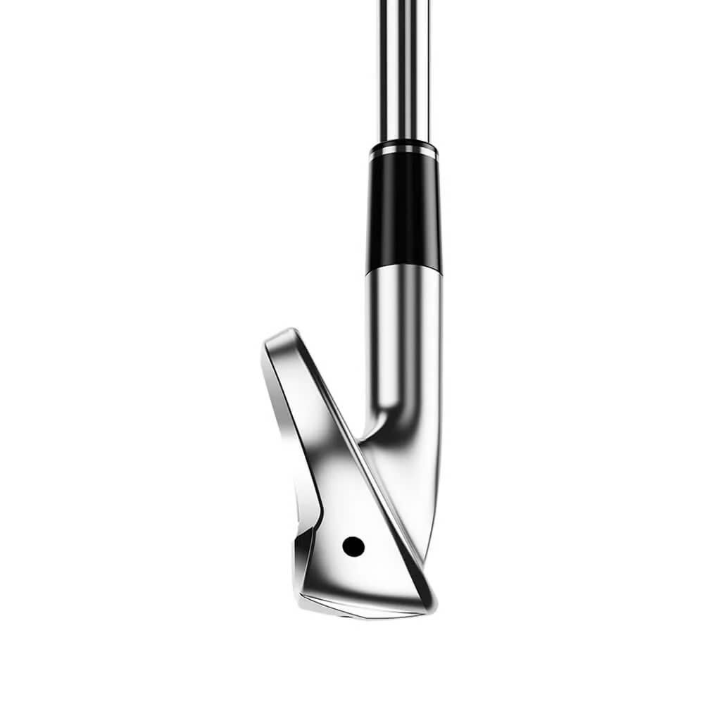 Bộ gậy sắt ZXi4 | SRIXON