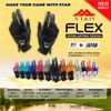 Găng tay golf Flex SILVER/BLACK | STAN