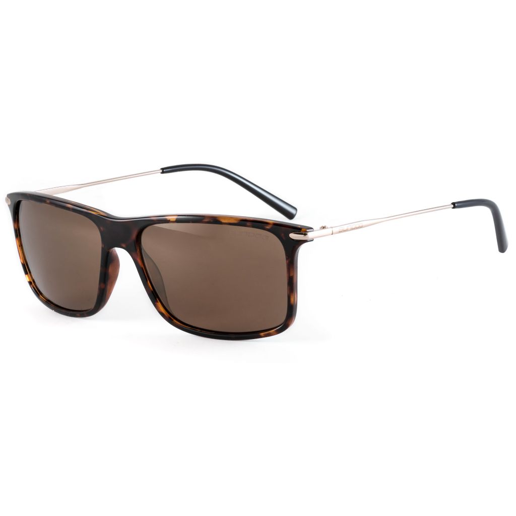 Kính râm Snap TB 133420 Brown Tort-Gold/Brown Gold FM | Sundog