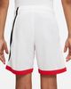 Nike - Quần Ngắn Thể Thao Bé Trai Dri-Fit Older Kids' (Boys') Basketball Shorts