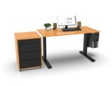  SMARTDESK HOME 