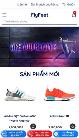 Mẫu website FlyFeet