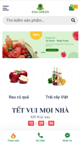 Mẫu website EGA Green
