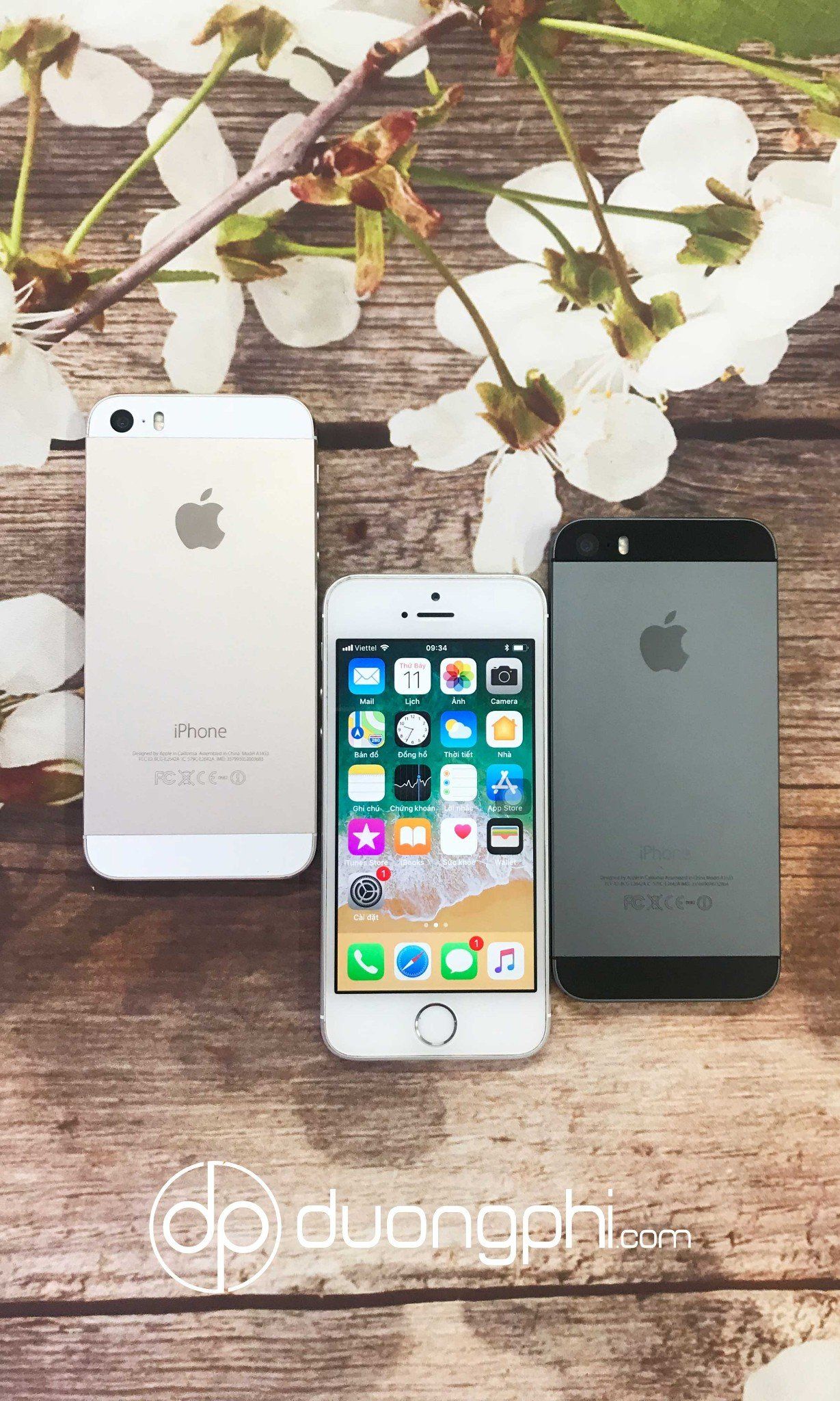 iPhone 5S 16GB