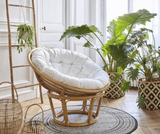  Ghế Papasan Size 80 