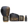 Găng tay Boxing Saigon Inspire - Black/Gold