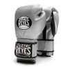 Găng Tay Cleto Reyes Training Gloves with Hook and Loop Closure - Silver