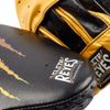 Đích Đấm Cleto Reyes Tiger Mitts - Black/Yellow