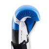 Găng Tay Bn Boxing Gloves - Black/Blue