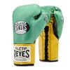 Găng Tay Cleto Reyes Professional Boxing Gloves - WBC Edition