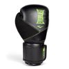 Găng Tay Everlast Protex Boxing Gloves - Black/Green