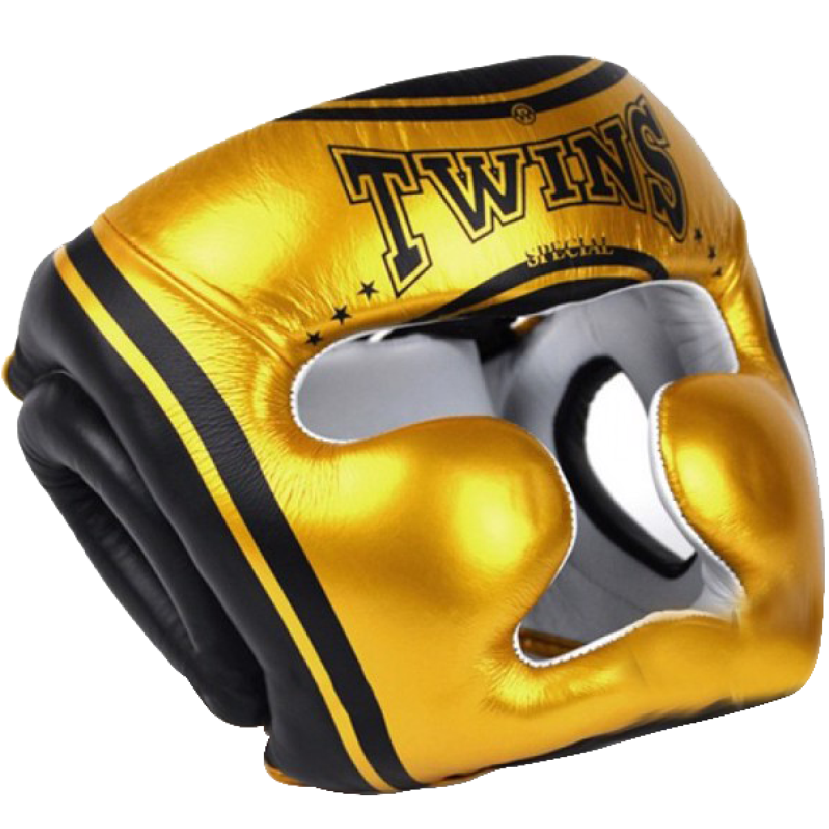 BẢO HỘ ĐẦU TWINS HGL3-TW4 HEAD GEAR