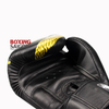 Găng Tay Twins Fbgvl3-23Gd Special Fancy Boxing Gloves