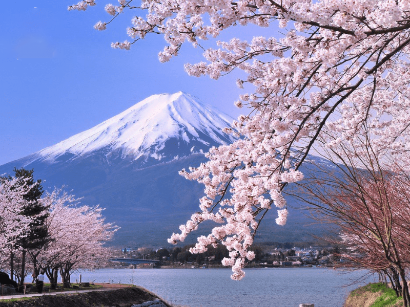 Tour du lịch Nhật Bản 2023 – Tokyo – Yamanashi – Núi Phú Sĩ – Narita (4N4Đ)