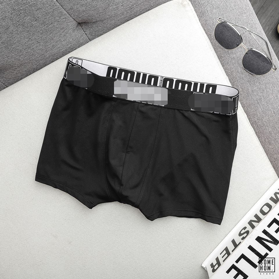 Boxer P.ma 4M
