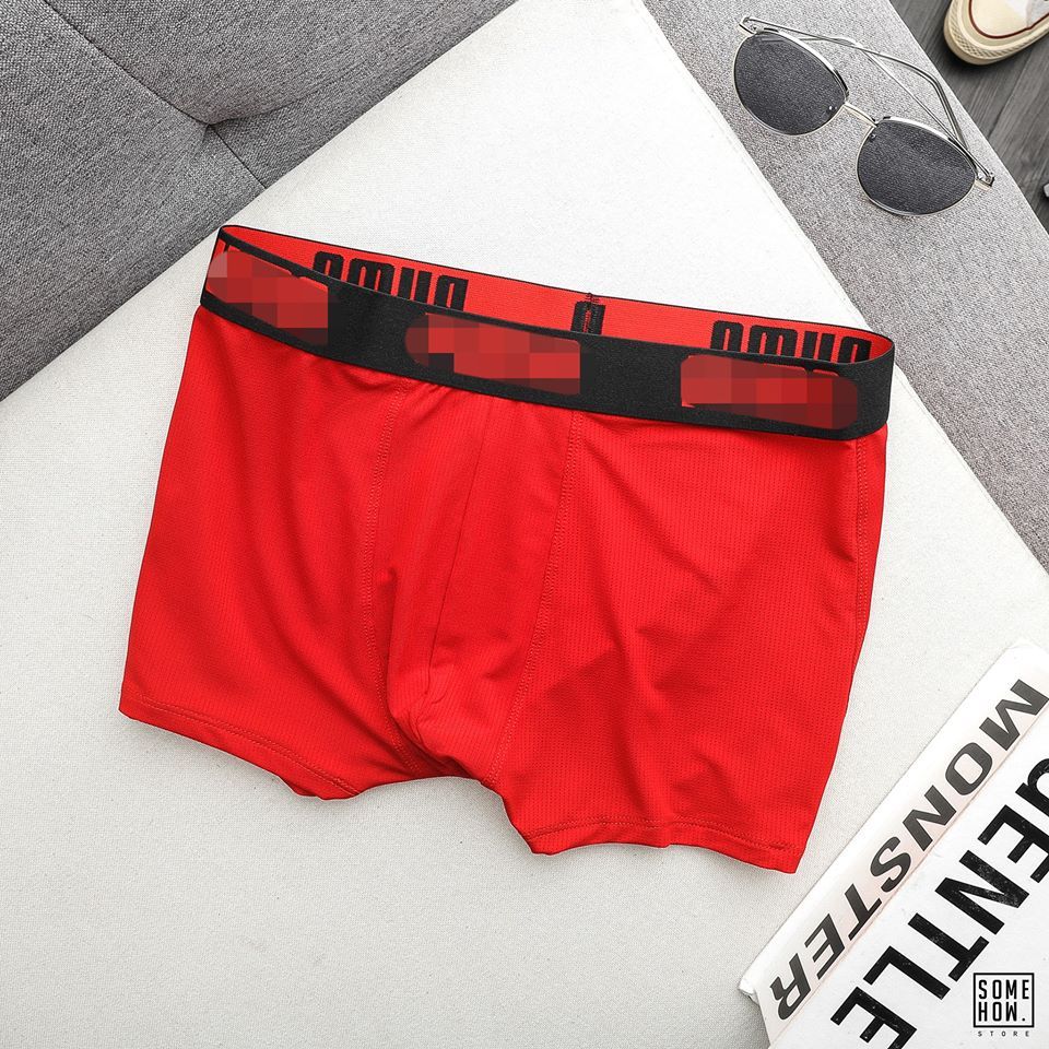 Boxer P.ma 4M