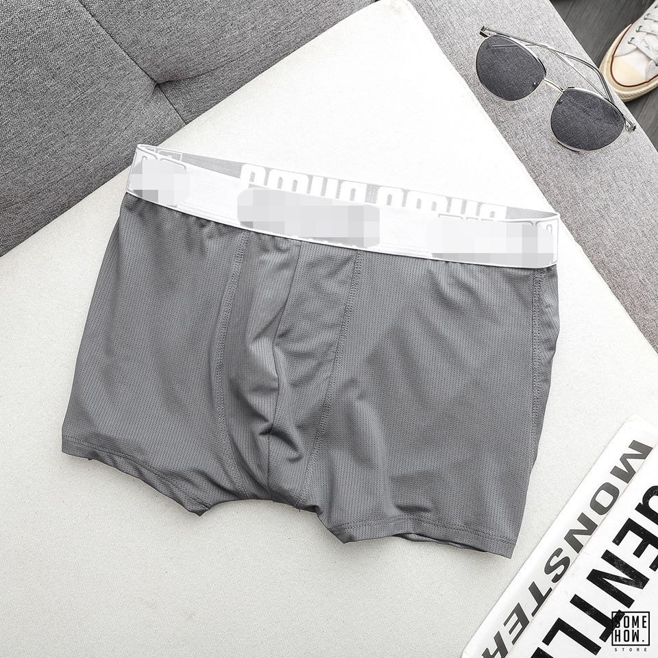 Boxer P.ma 4M
