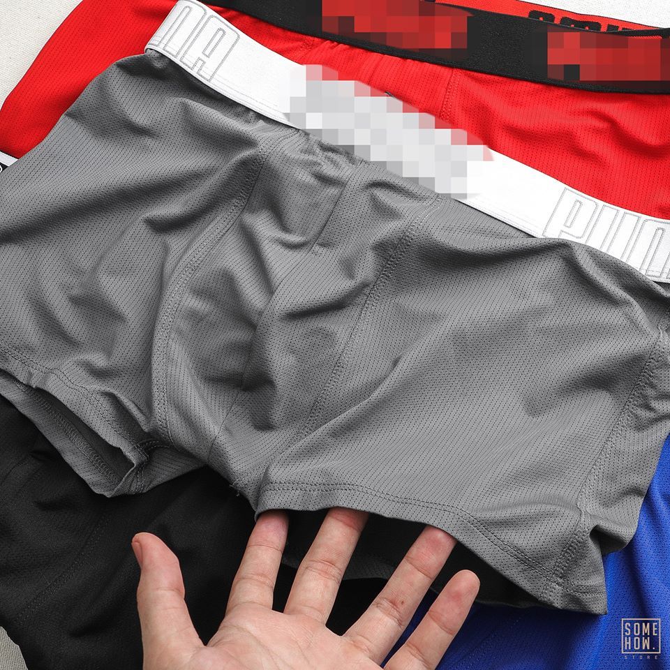 Boxer P.ma 4M
