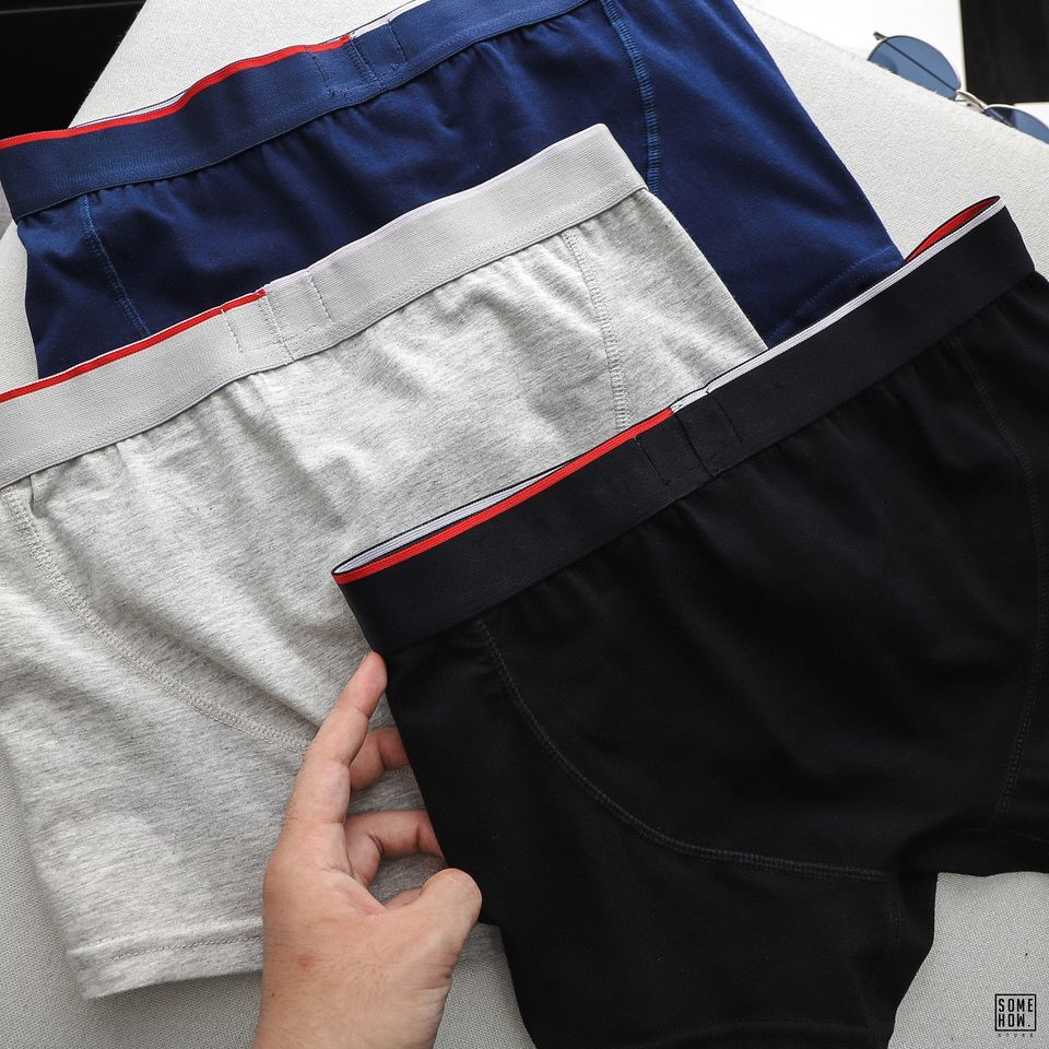 Boxer T.My