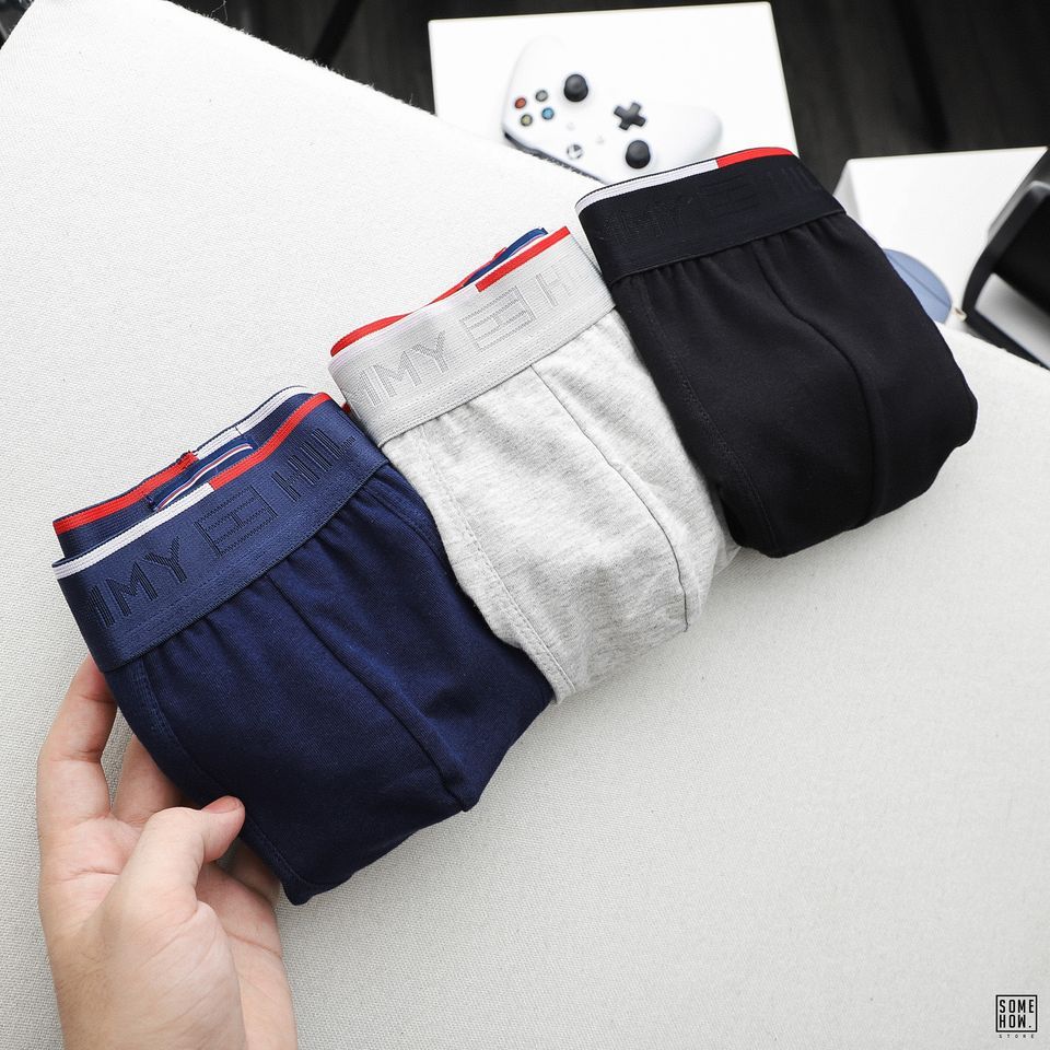 Boxer T.My