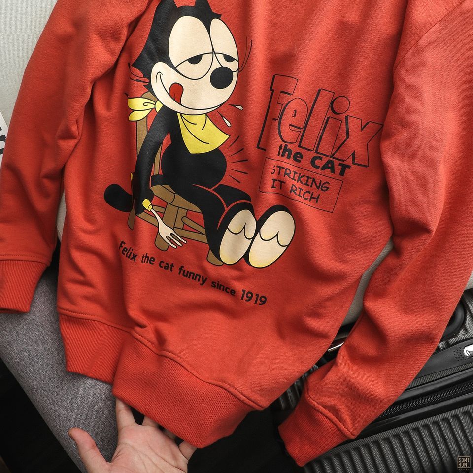 Sweater Felix 2M