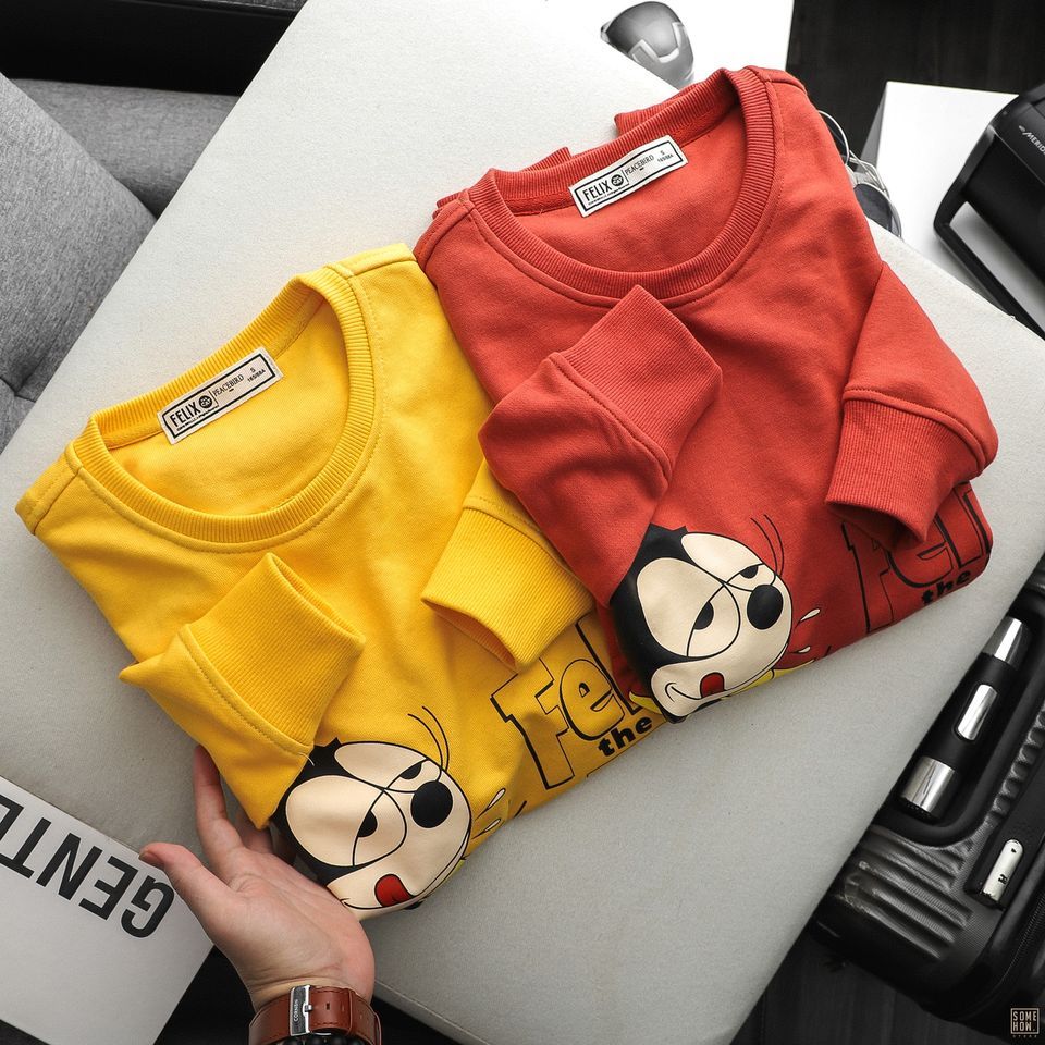 Sweater Felix 2M