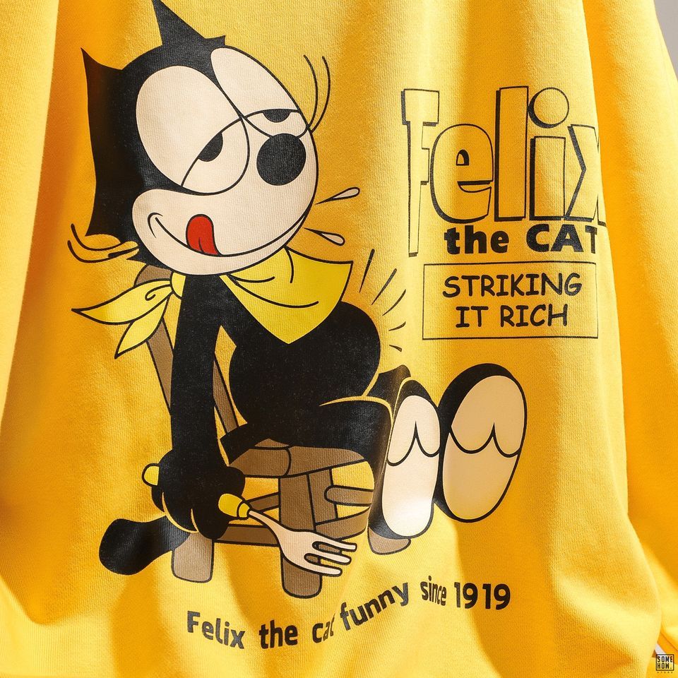 Sweater Felix 2M