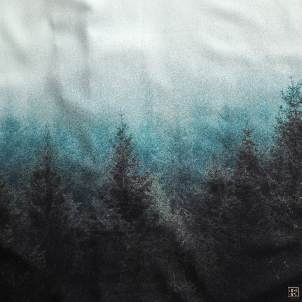 Sơ MI INF In High Rocky And Forest