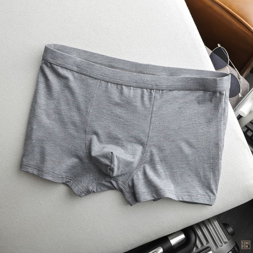 Boxer Trơn 6M