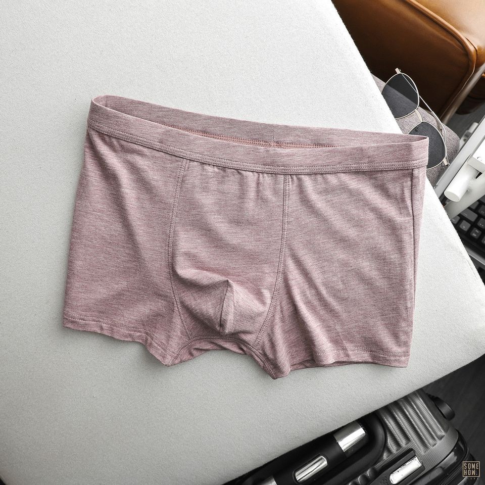 Boxer Trơn 6M