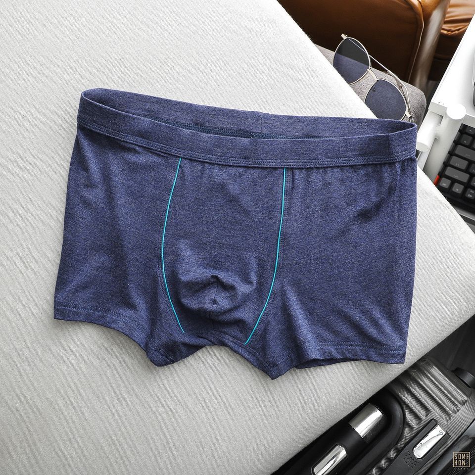 Boxer Trơn 6M