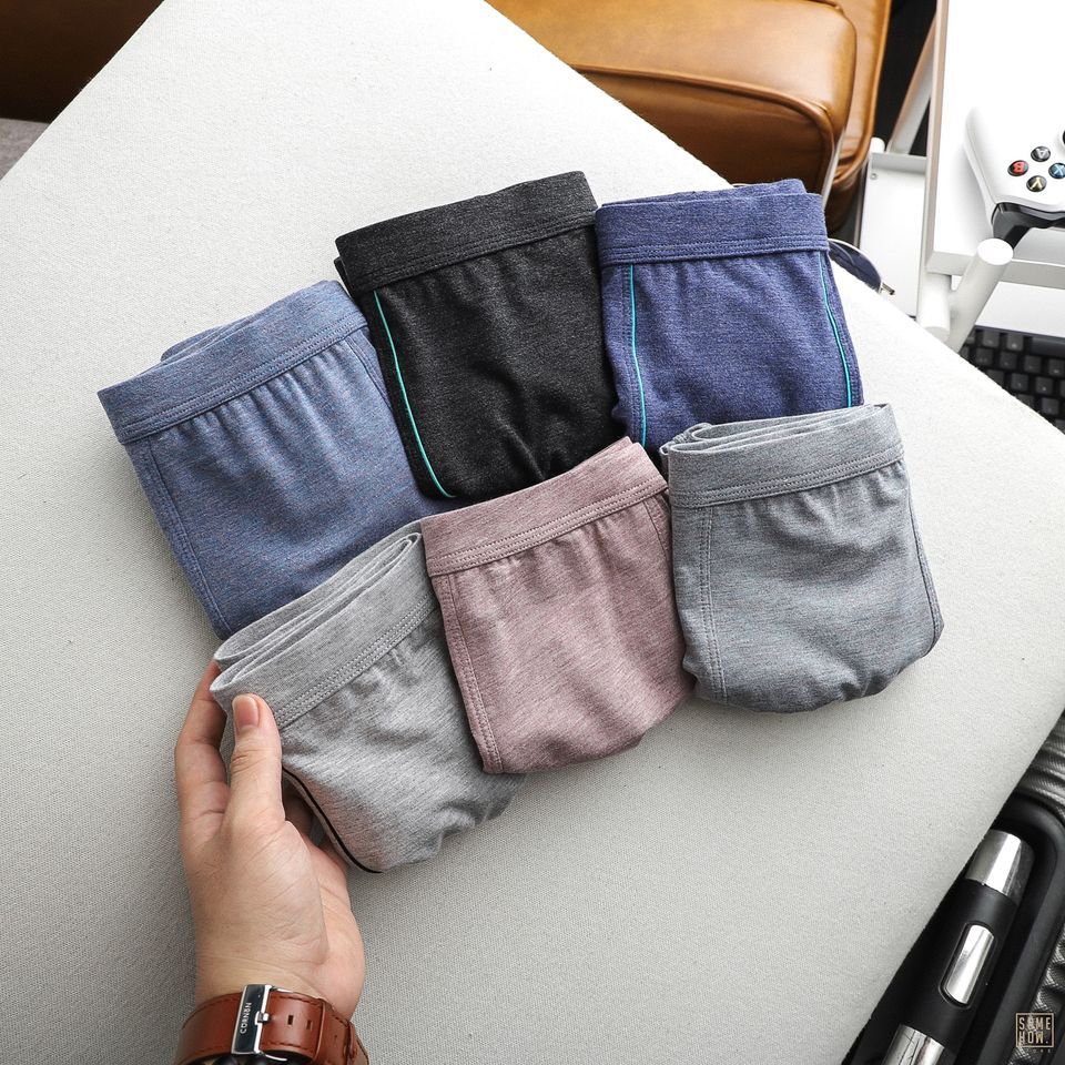 Boxer Trơn 6M