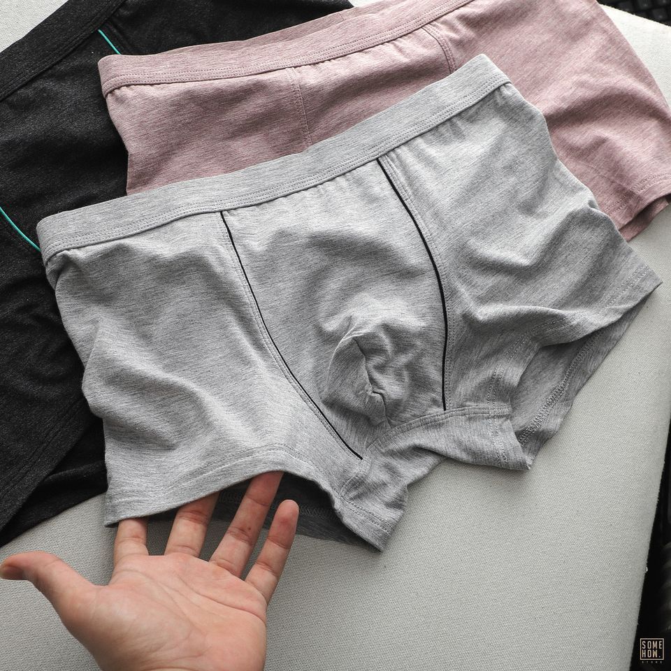 Boxer Trơn 6M