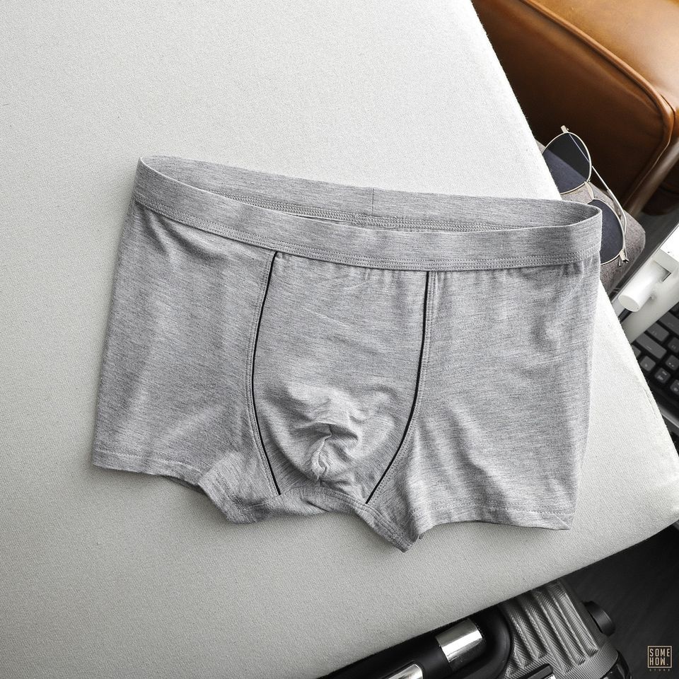 Boxer Trơn 6M