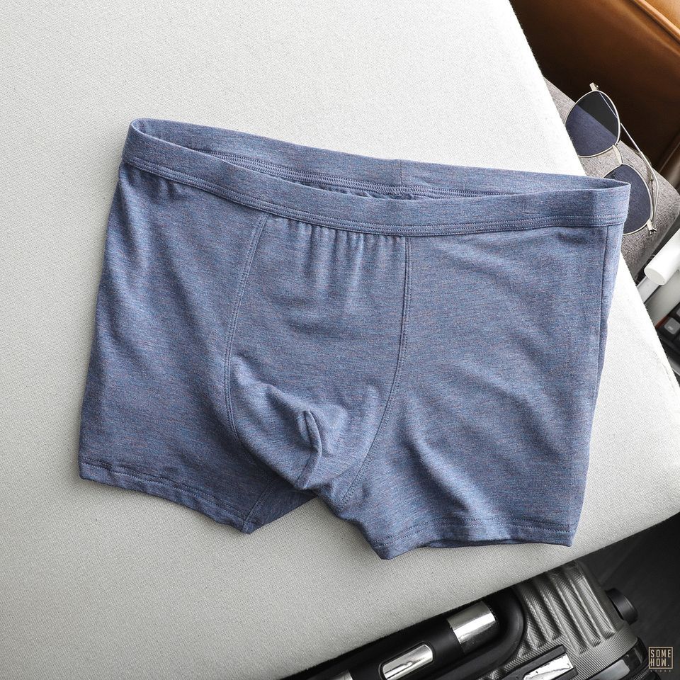 Boxer Trơn 6M