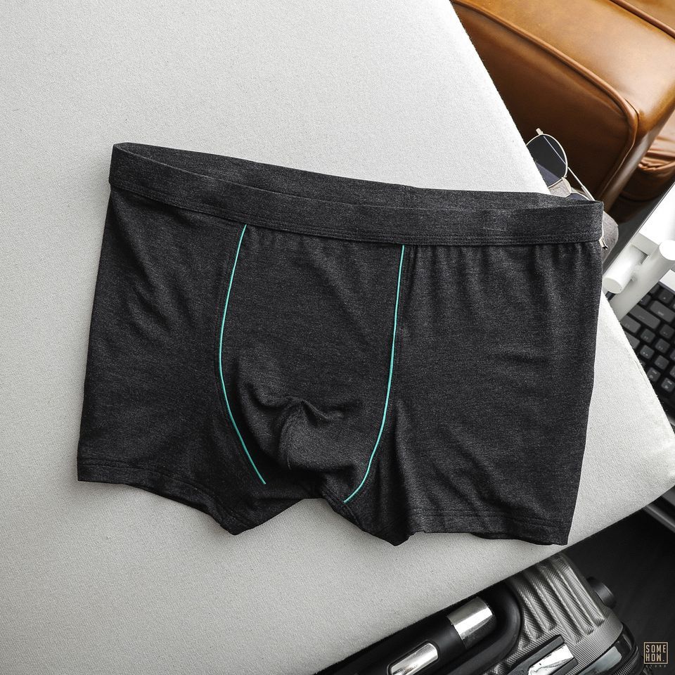 Boxer Trơn 6M